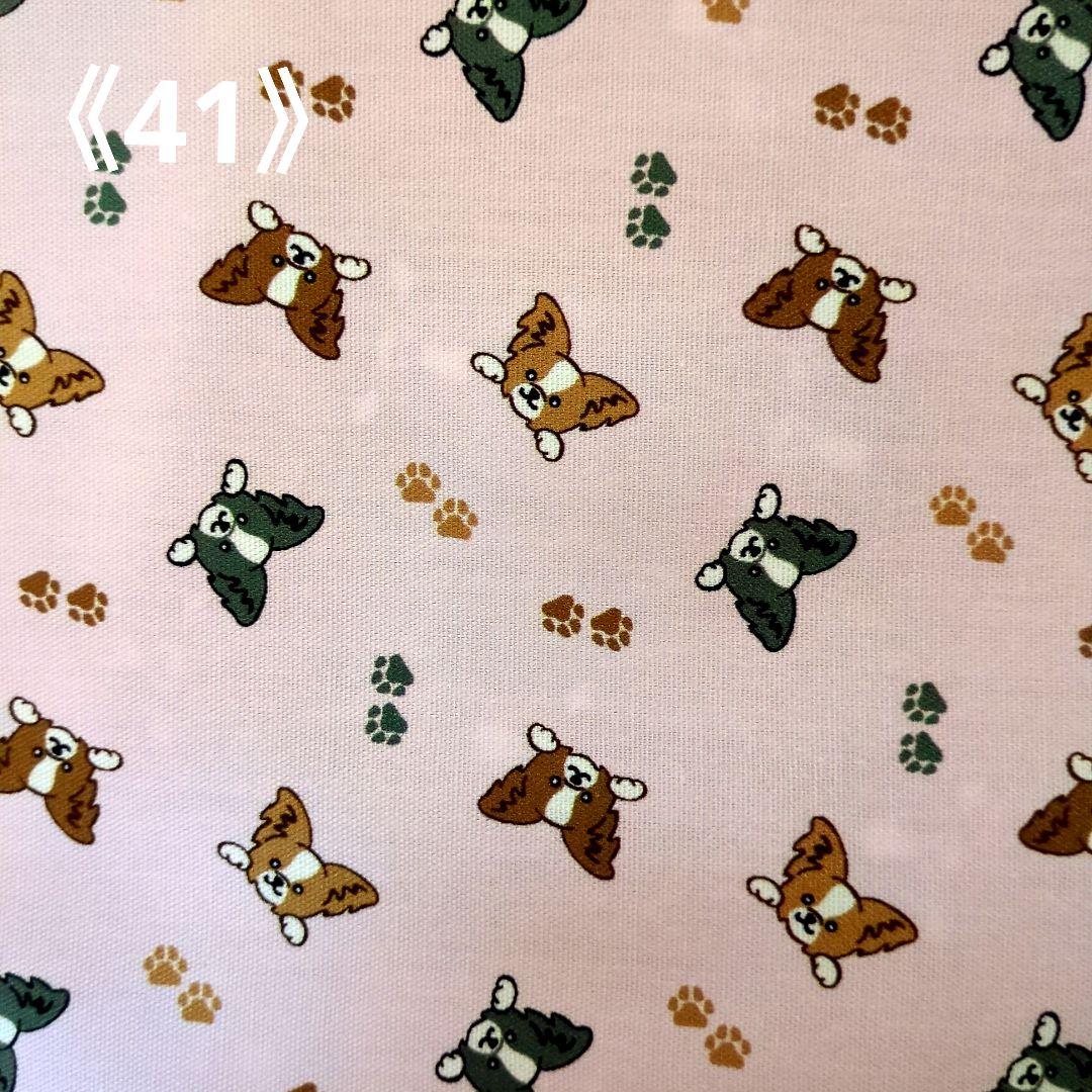 ペット✩犬✩マナーベルトオーダー用 サンプル(確認用)パピヨン ピンク