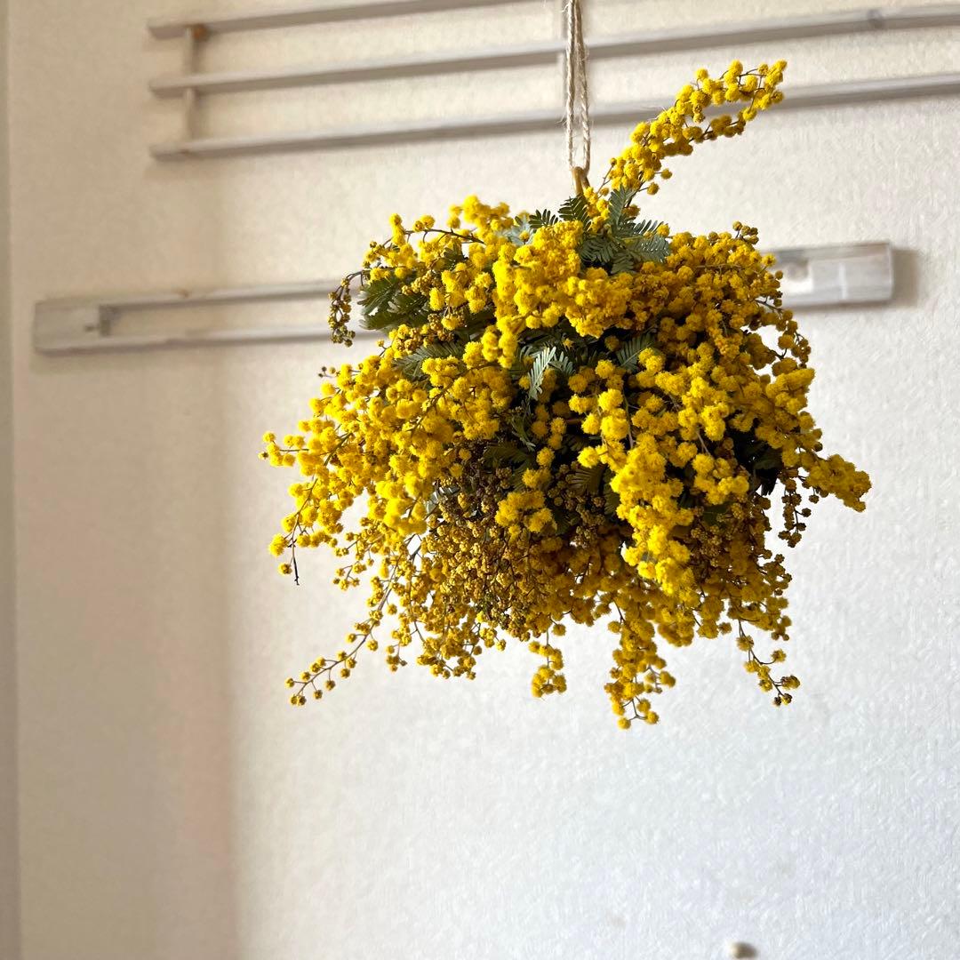 ミモザリース　ミモザボール　ミモザフライングリース　ミモザフライングスワッグ