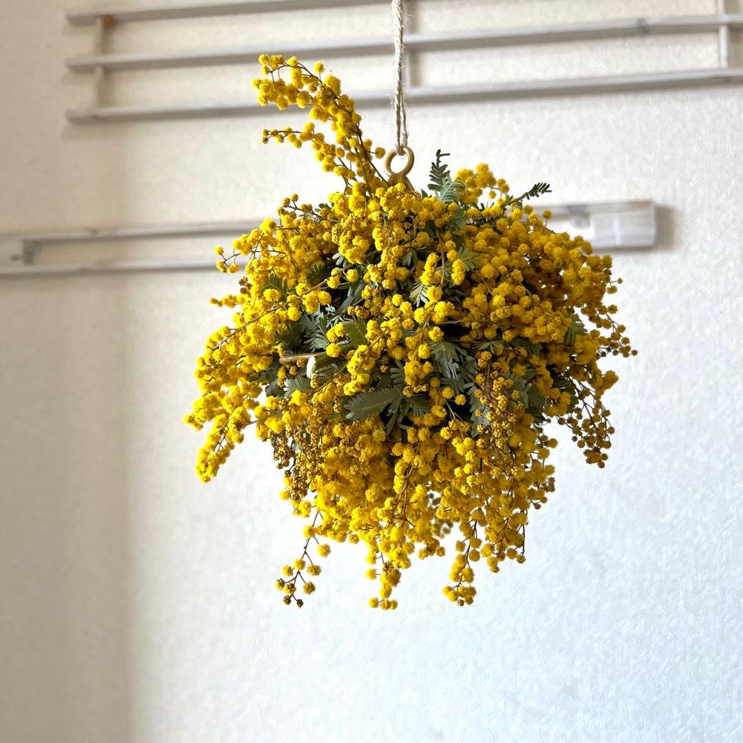 ミモザリース　ミモザボール　ミモザフライングリース　ミモザフライングスワッグ