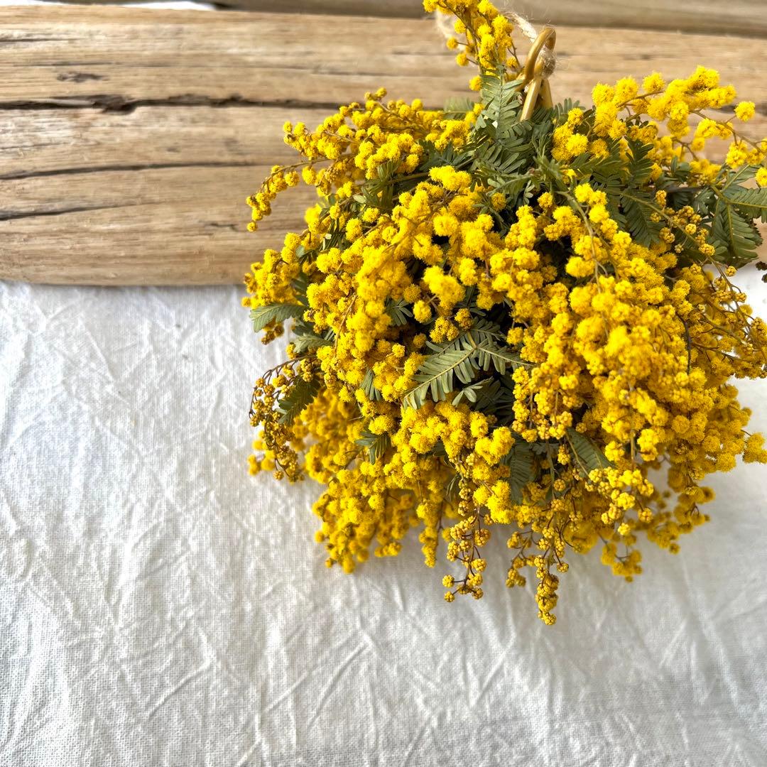 ミモザリース　ミモザボール　ミモザフライングリース　ミモザフライングスワッグ