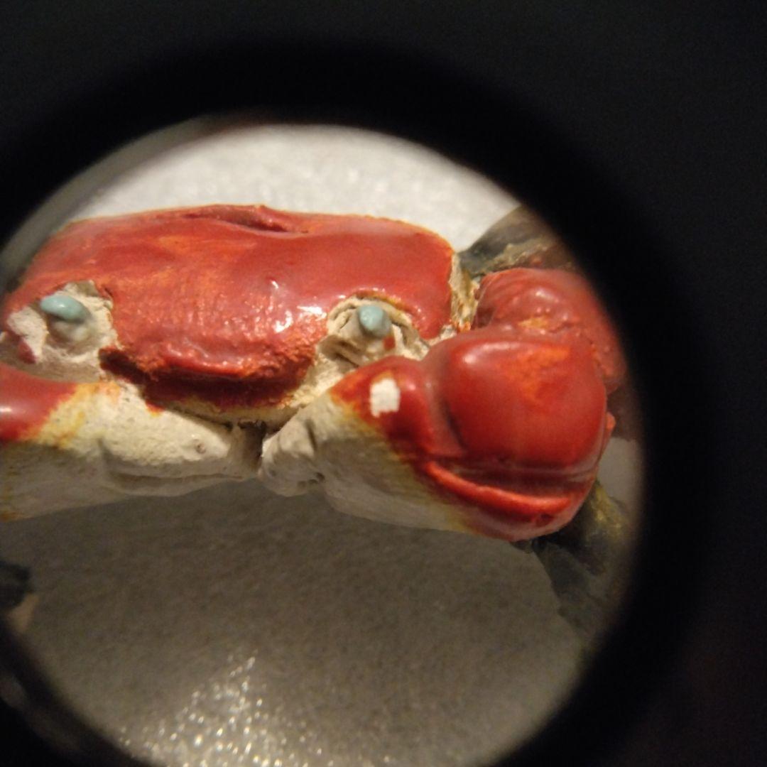 古い蟹　水月焼　楽山　二六