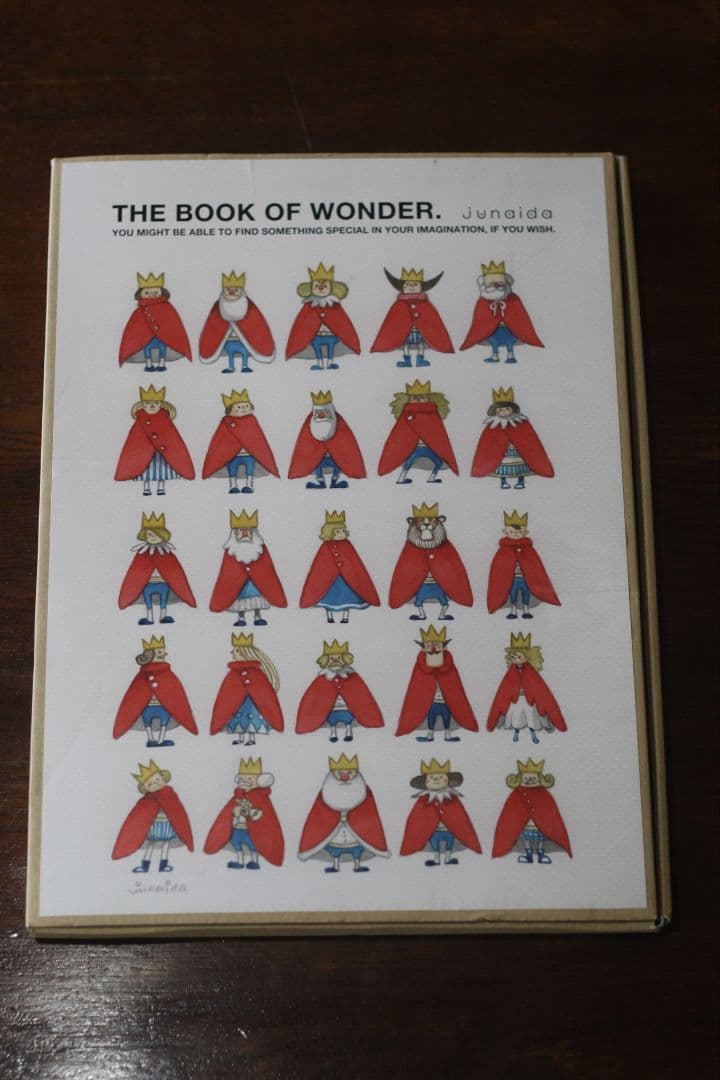 【美品】junaida THE BOOK OF WONDER 2011ジュナイダ