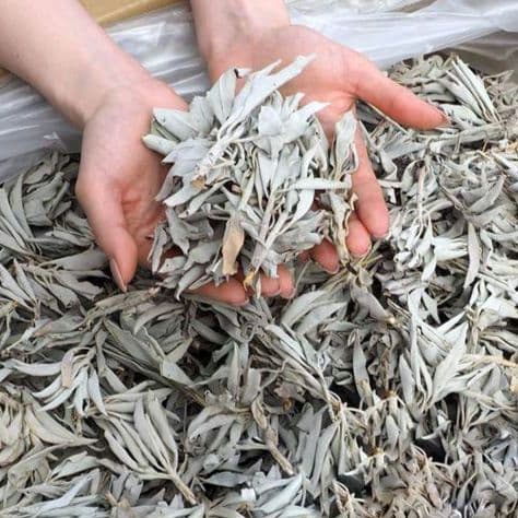 ★特選再入荷★無農薬カリフォルニア産【箱配送1kg高品質ホワイトセージ】❤️