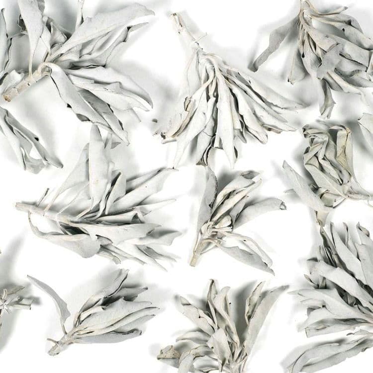 ★特選再入荷★無農薬カリフォルニア産【箱配送1kg高品質ホワイトセージ】❤️