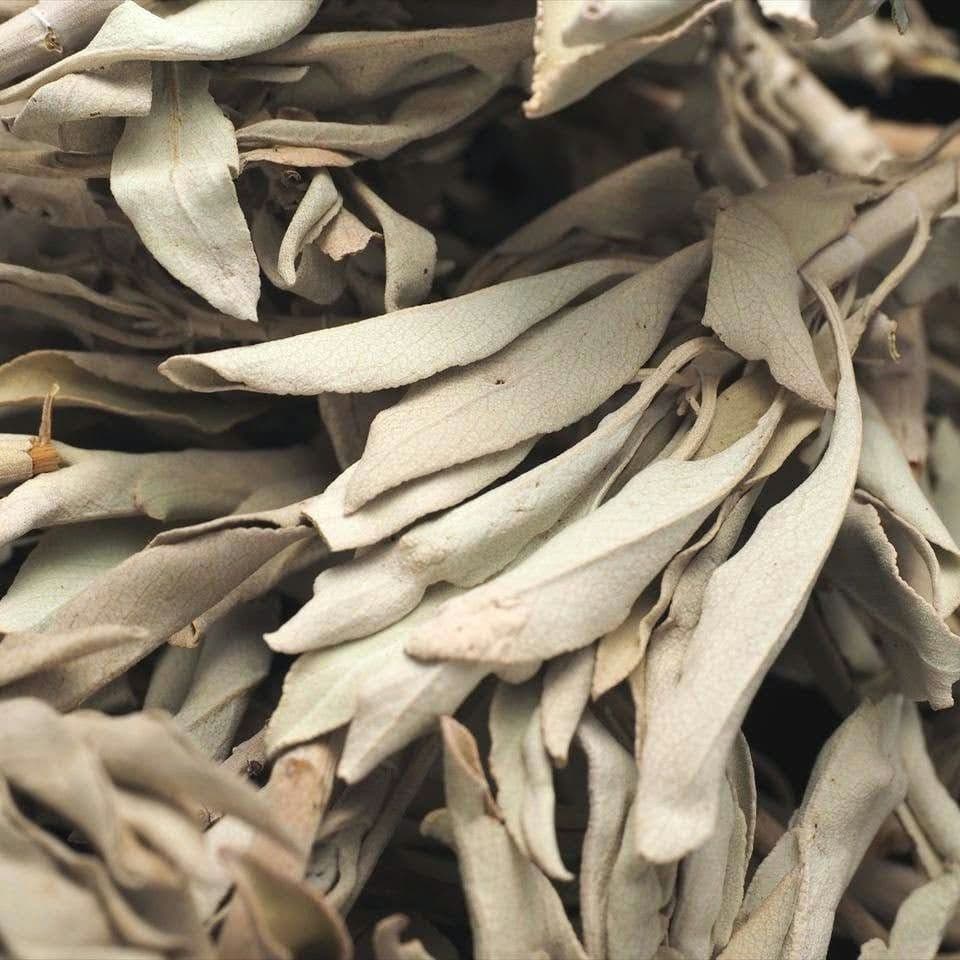 ★特選再入荷★無農薬カリフォルニア産【箱配送1kg高品質ホワイトセージ】❤️