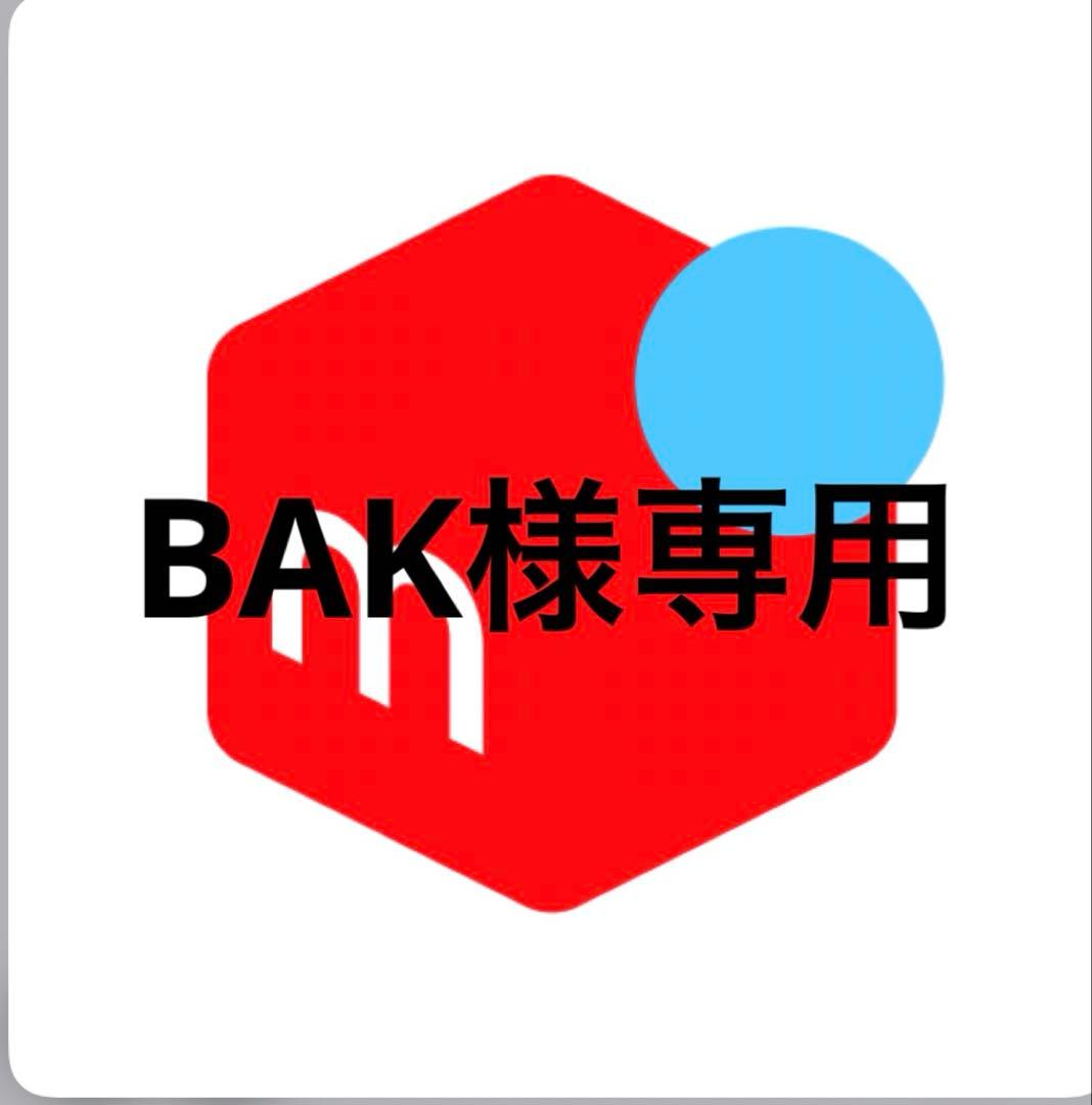 その他 BAK