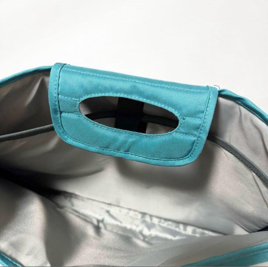 Patagonia HalfMass ターコイズブルー PCバッグ付　ハーフマス