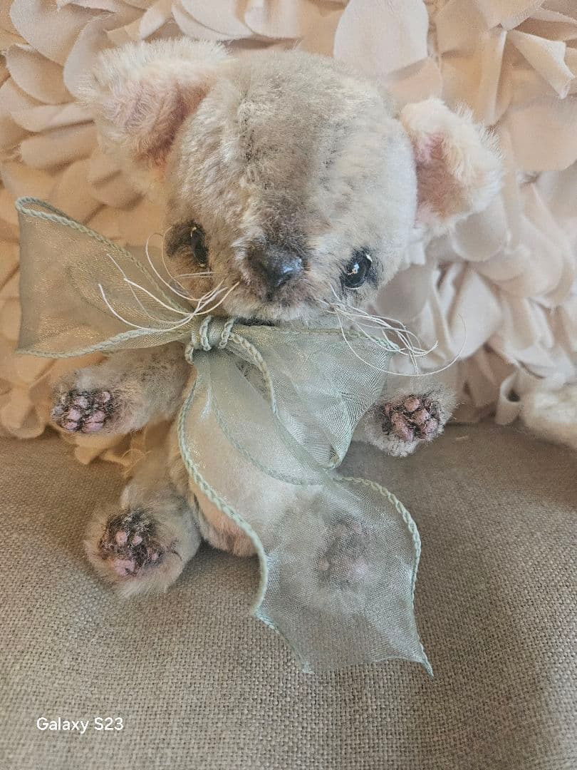 ひげ付きグレーュ猫、テディベア