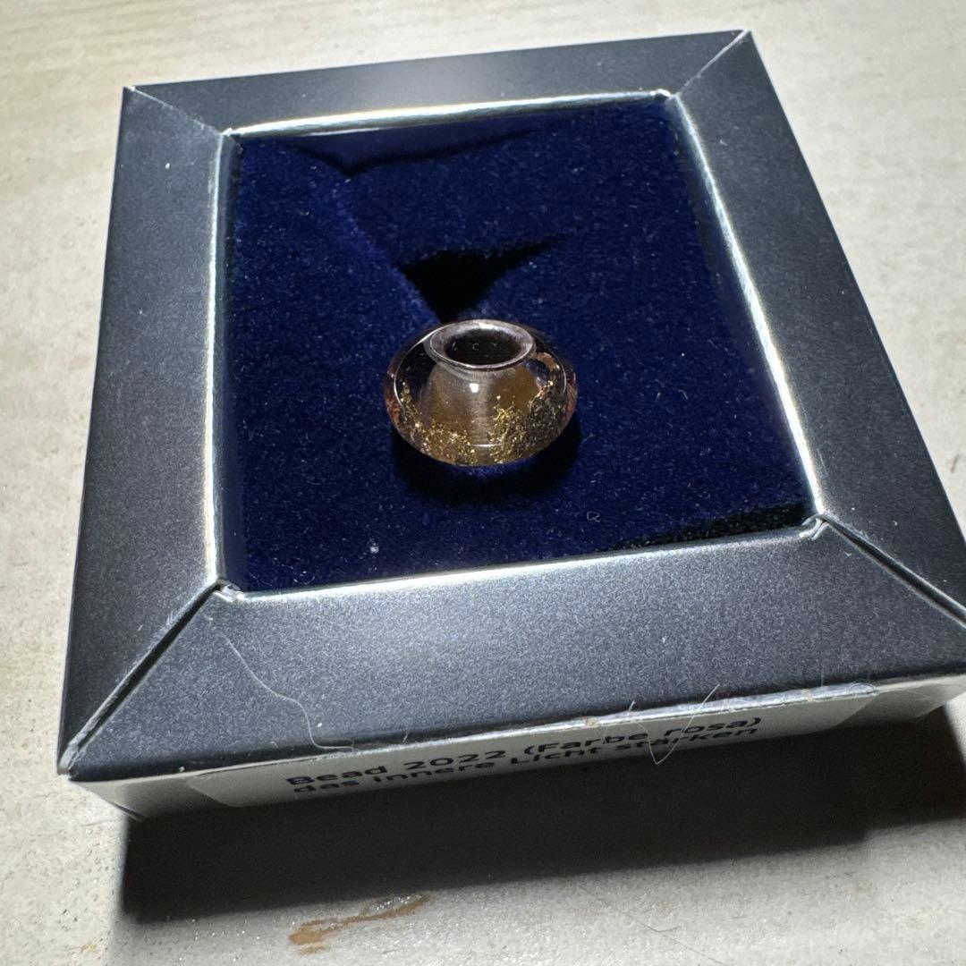 リヒトウェーゼン・ヘルプ 「内なる輝きと本来の自分をもっと強く」2022