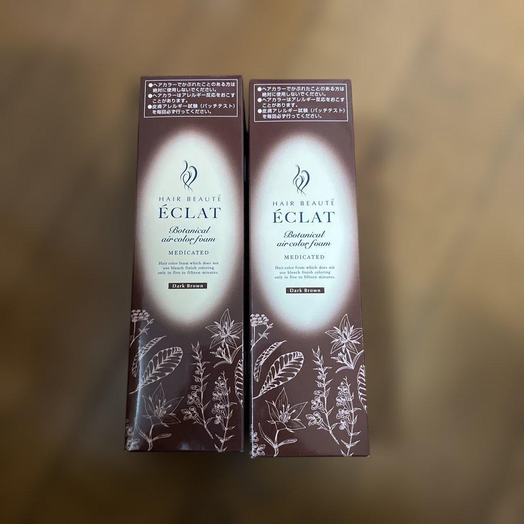 ヘアボーテ　エクラ　ボタニカルエアカラーフォーム　EX ダークブラウン2本セット