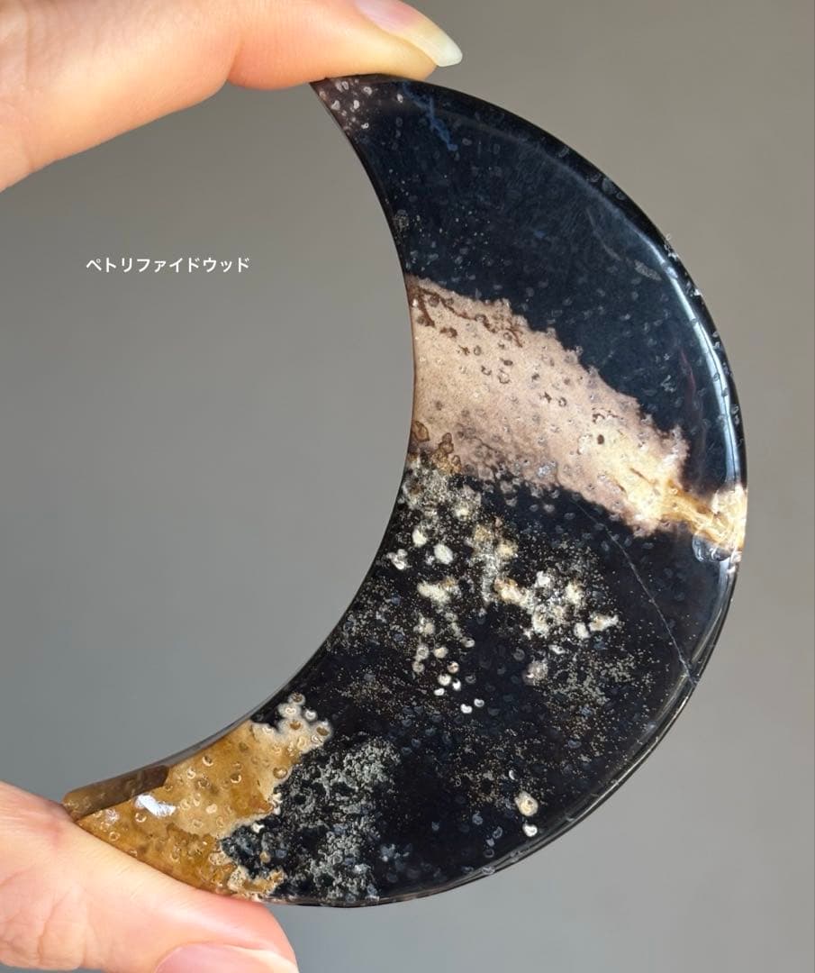 あ〜きゃん♬様　高品質　ペトリファイドウッド　大きめ月　ムーン　握り石　珪化木