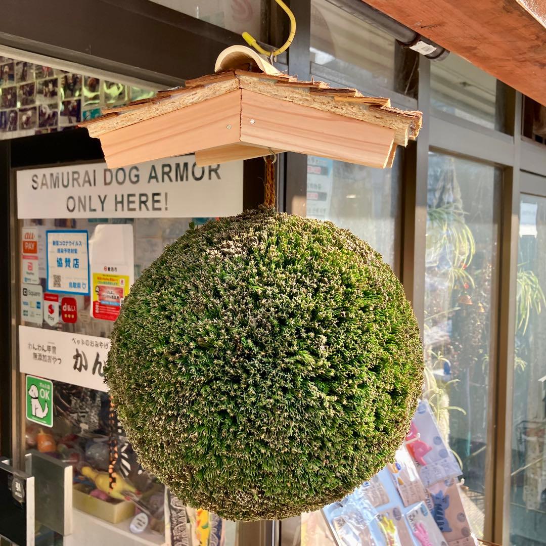 杉玉【屋根付き】③