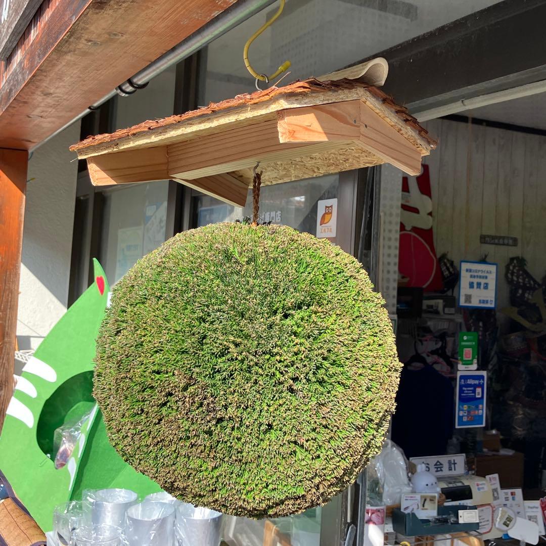 杉玉【屋根付き】③