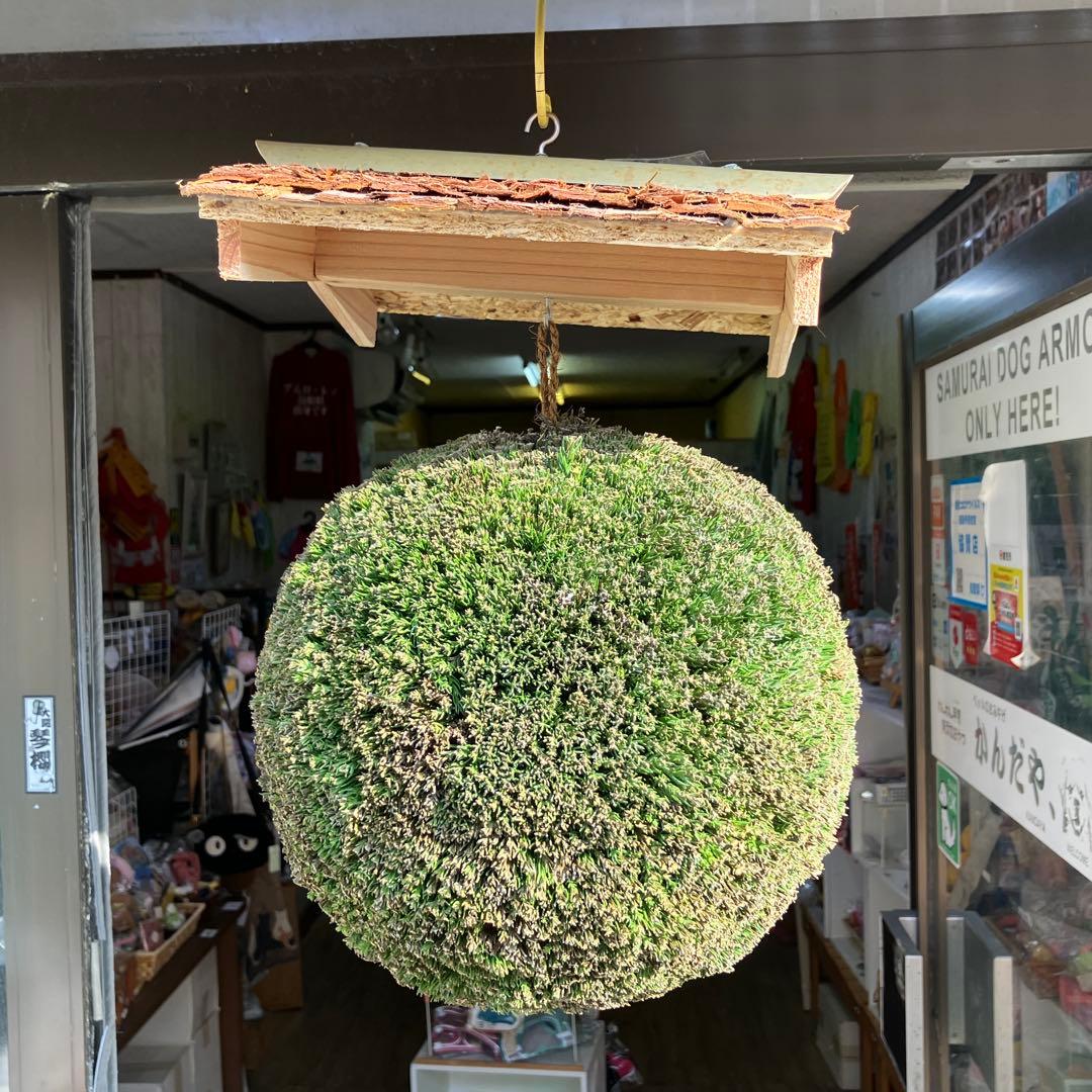 杉玉【屋根付き】③