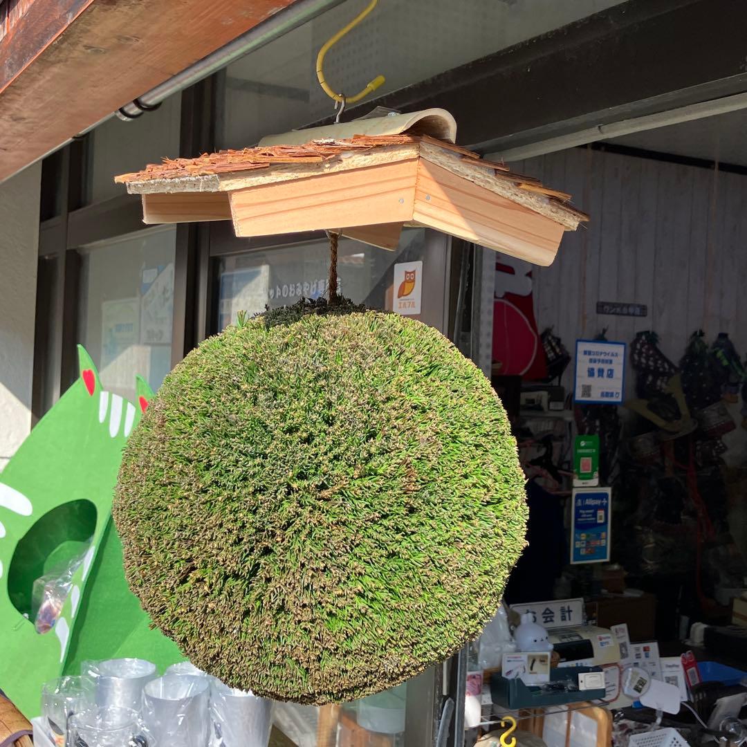 杉玉【屋根付き】③
