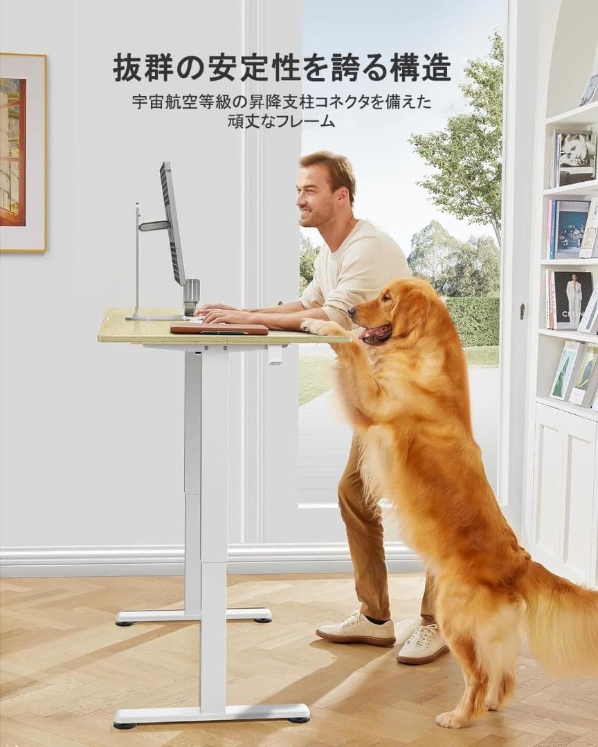 【開封済み・未使用】ErGear 電動式昇降デスク　幅120㎝　オフィスワーク