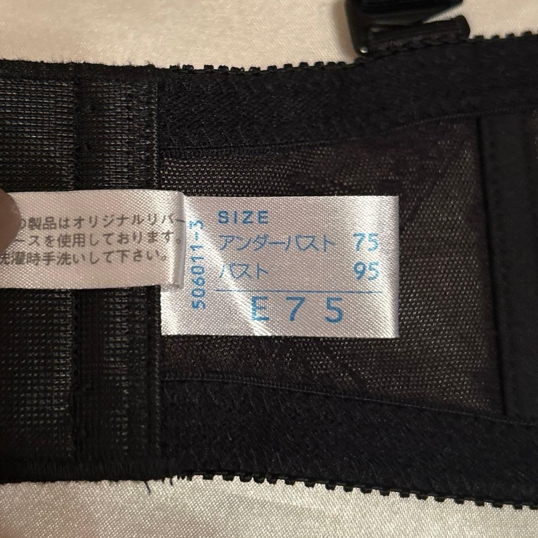 補正下着　シャンデール ソレイユ　E75