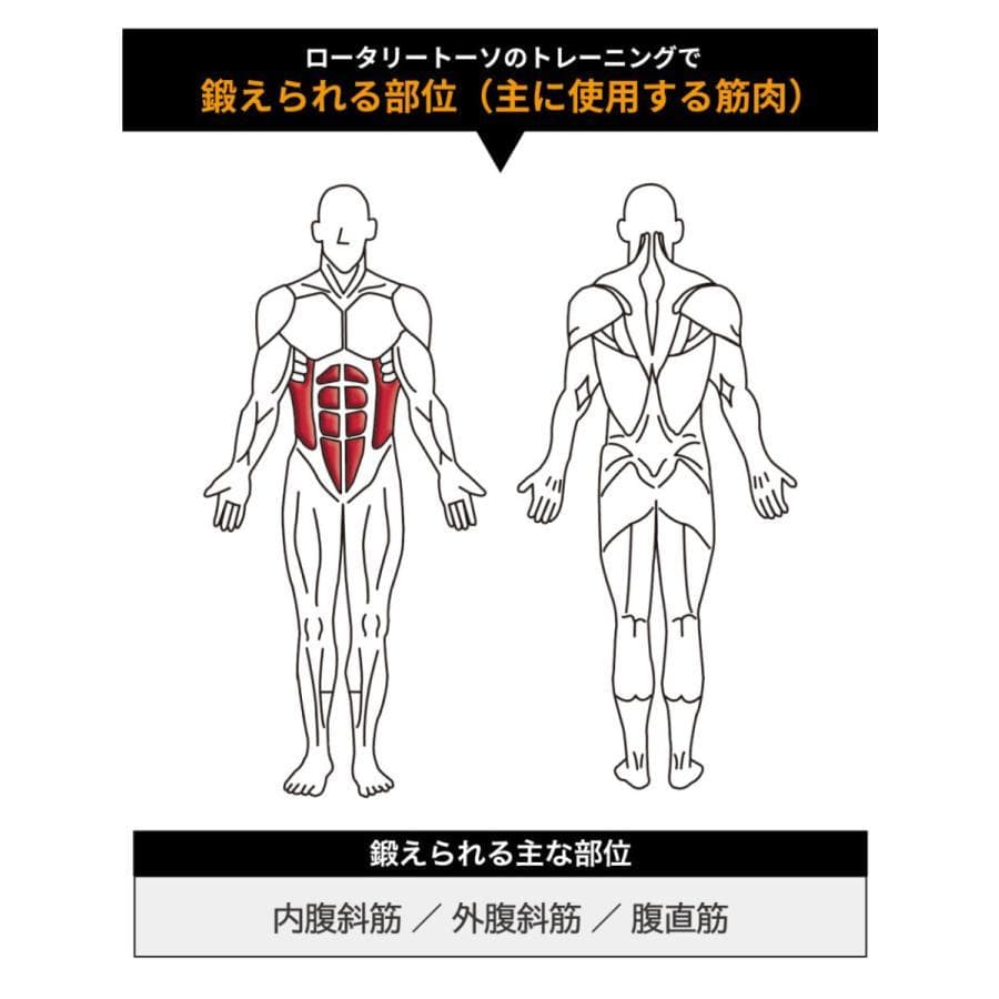 DAIKOU ロータリートーソ 油圧マシン 準業務用