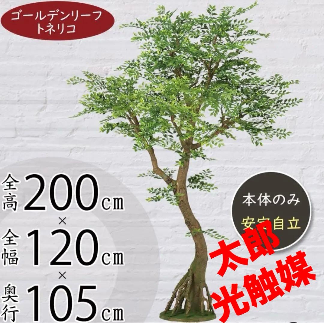 光触媒　人工観葉植物　フェイクグリーン　ゴールデンリーフコアッド