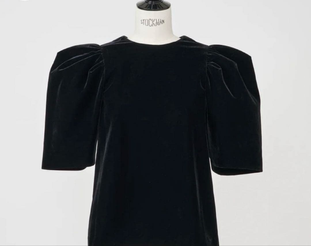 Heve へイヴ　ベロアバブリーブラウス