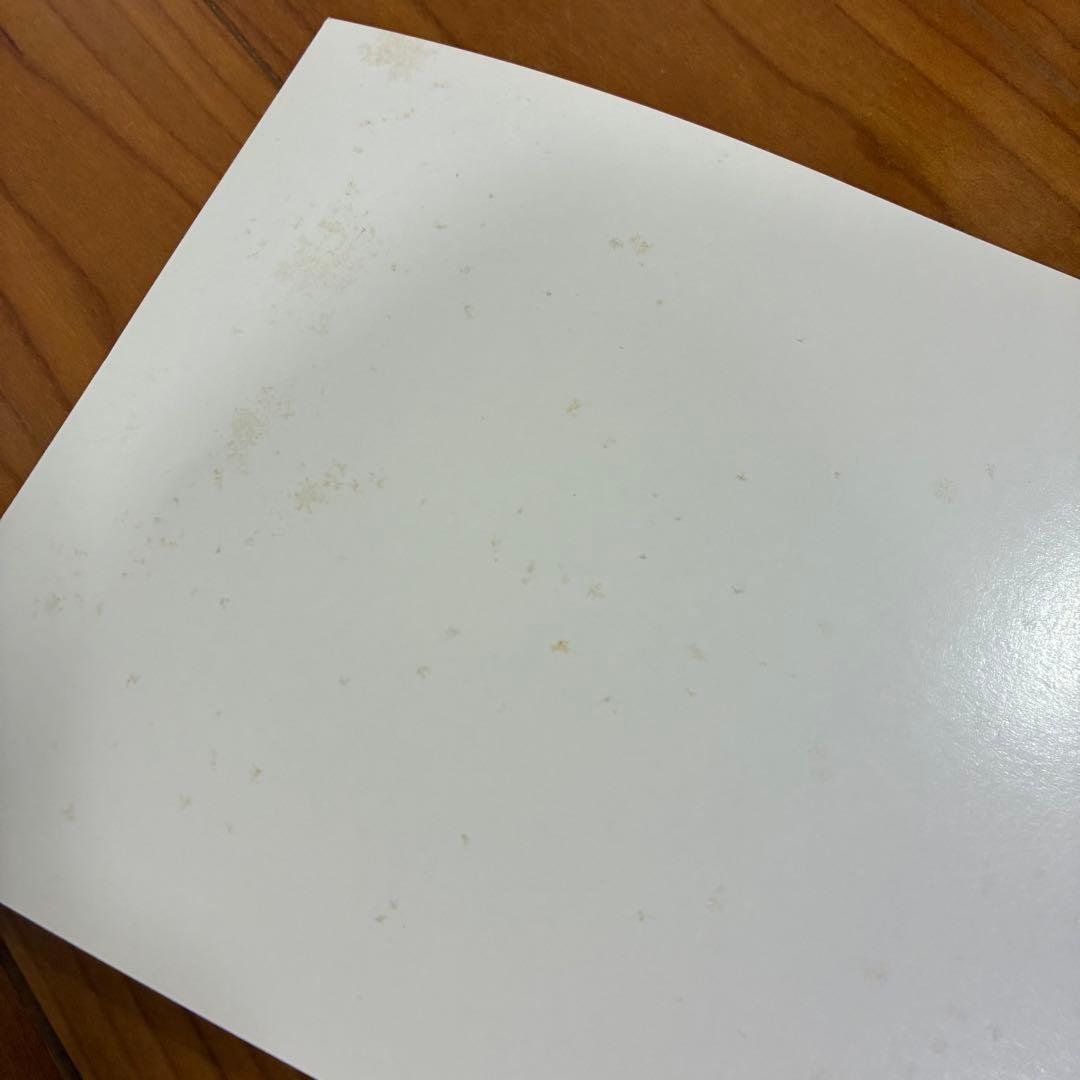 家庭保育園　第2教室　ファーストプログラム