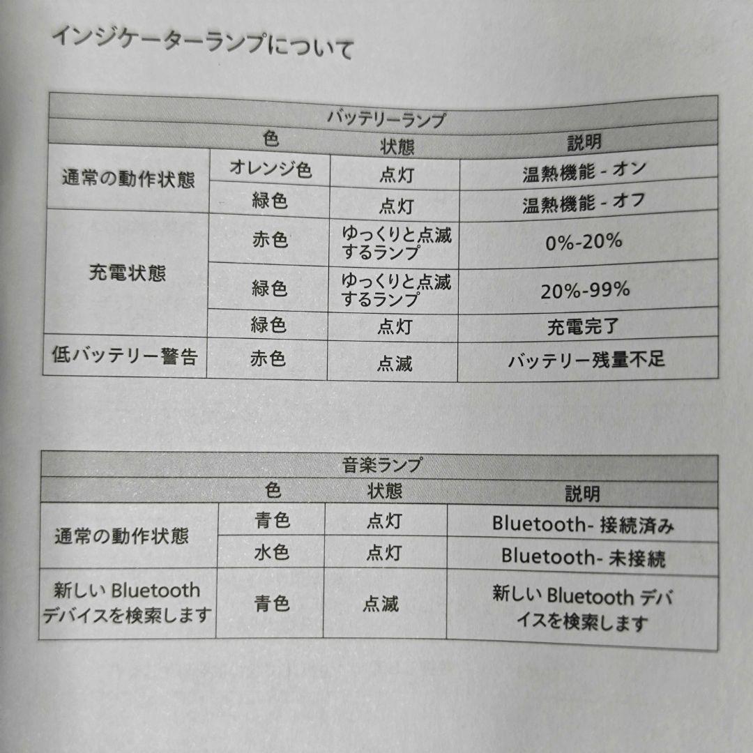 今年1月購入 美品 PHILIPS エアバック式アイケア PPM2701 日本語