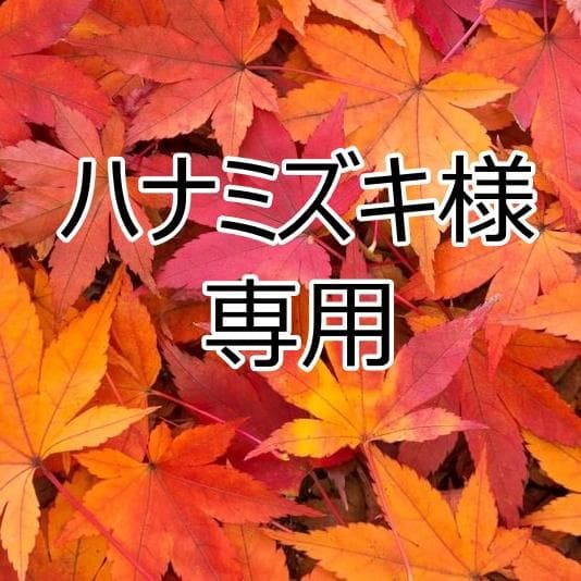 ★ハナミズキ★ハイカウントサテン ネックフリルブラウス他