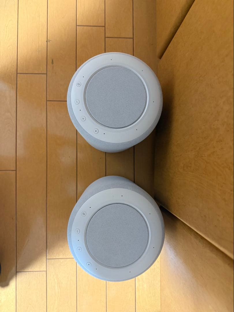 アレクサ　エコースタジオ2個セット