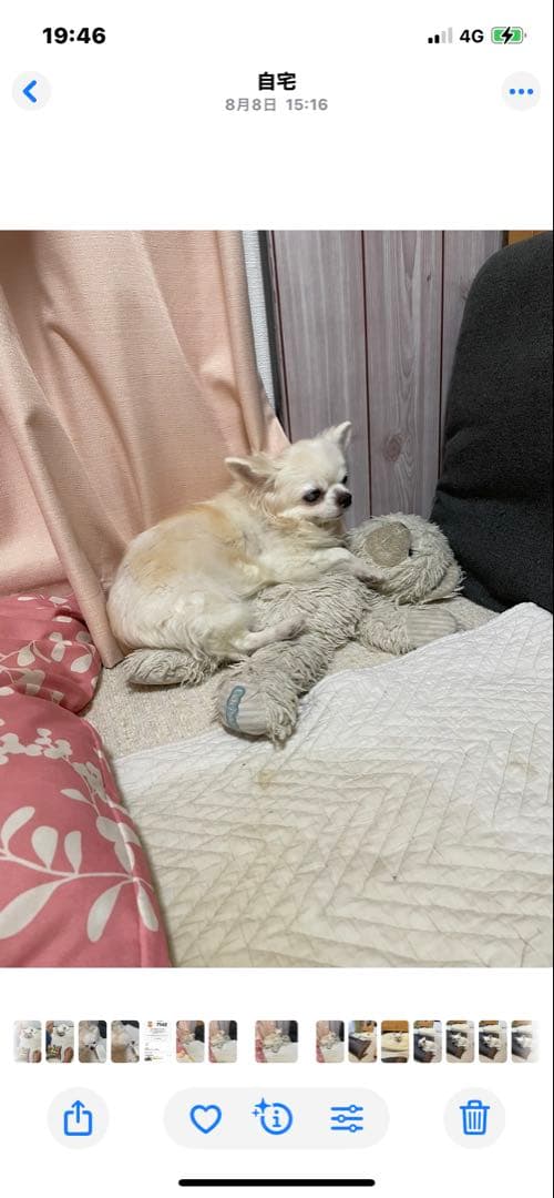 画像確認用　伏せポーズ