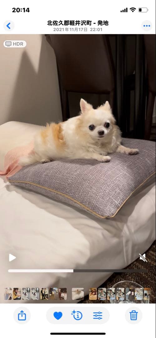 画像確認用　伏せポーズ