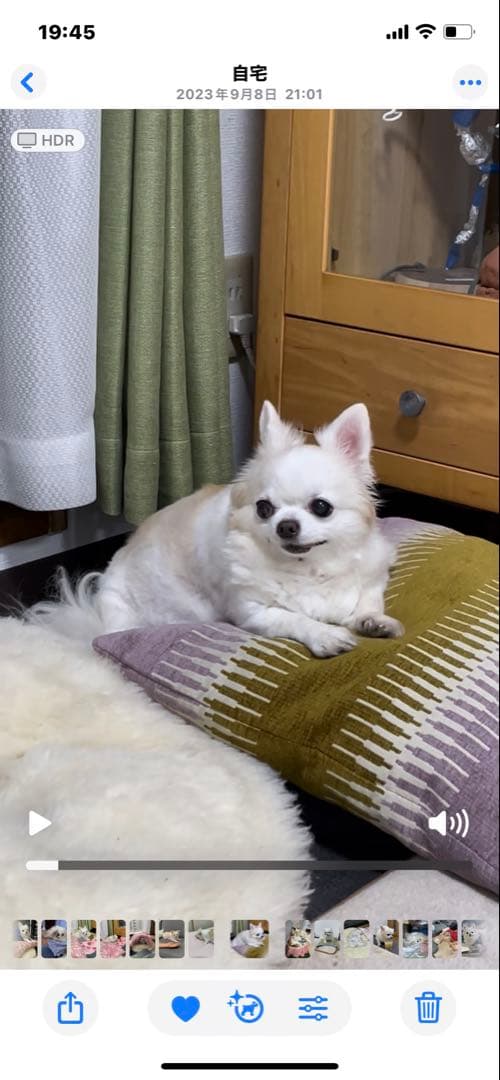 画像確認用　伏せポーズ