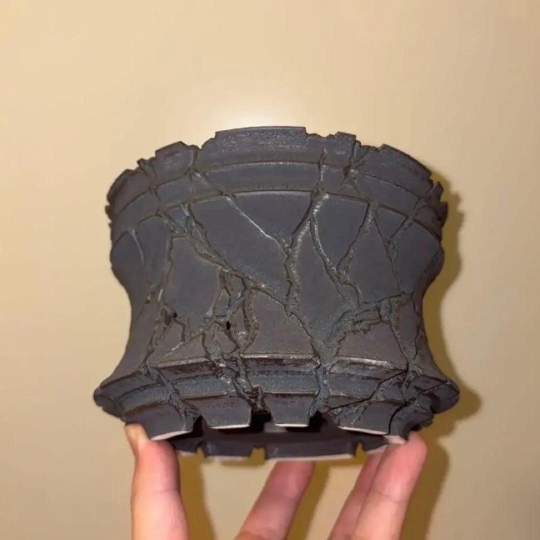 XL 植木鉢 作家鉢 グラキリス パキプス 恵比寿笑い 黒鬼城 晃山 チタノタ