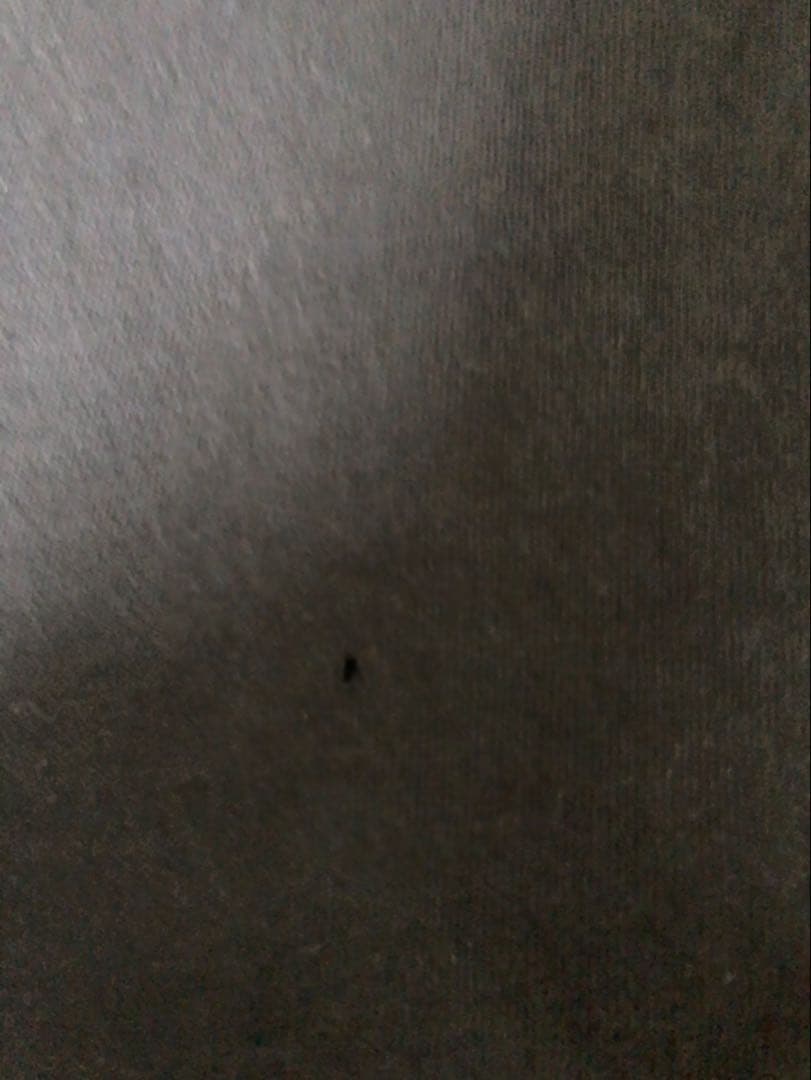 90s CAMEL Born To Be Smooth ロンT USA製