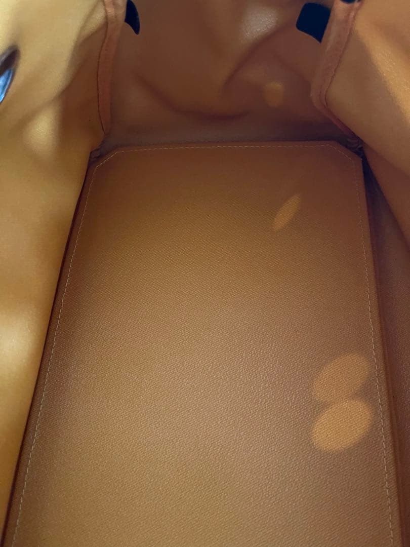 大人気GOYARDレア　廃番　マーカージュ最大入り　大変お得❣️ ペットキャリー