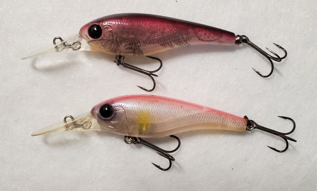 クオン　フローシャッド　セット