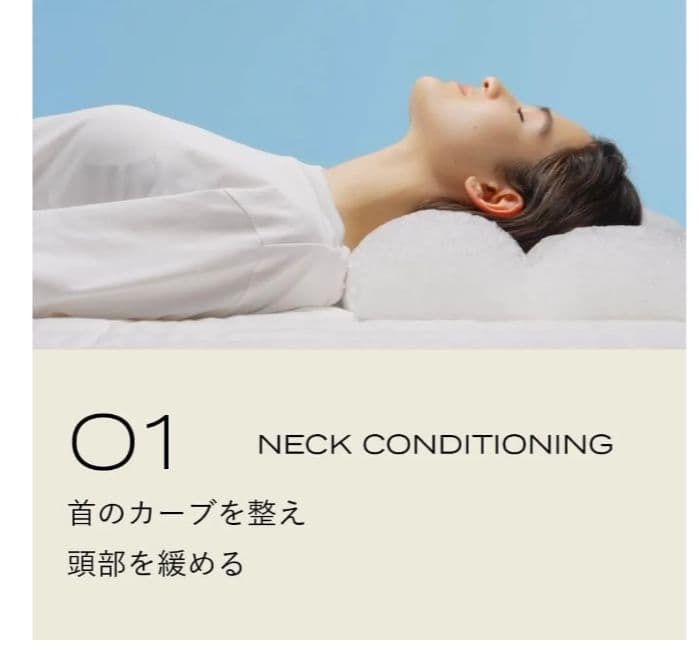 BRAIN SLEEP PILLOW ネックピロー