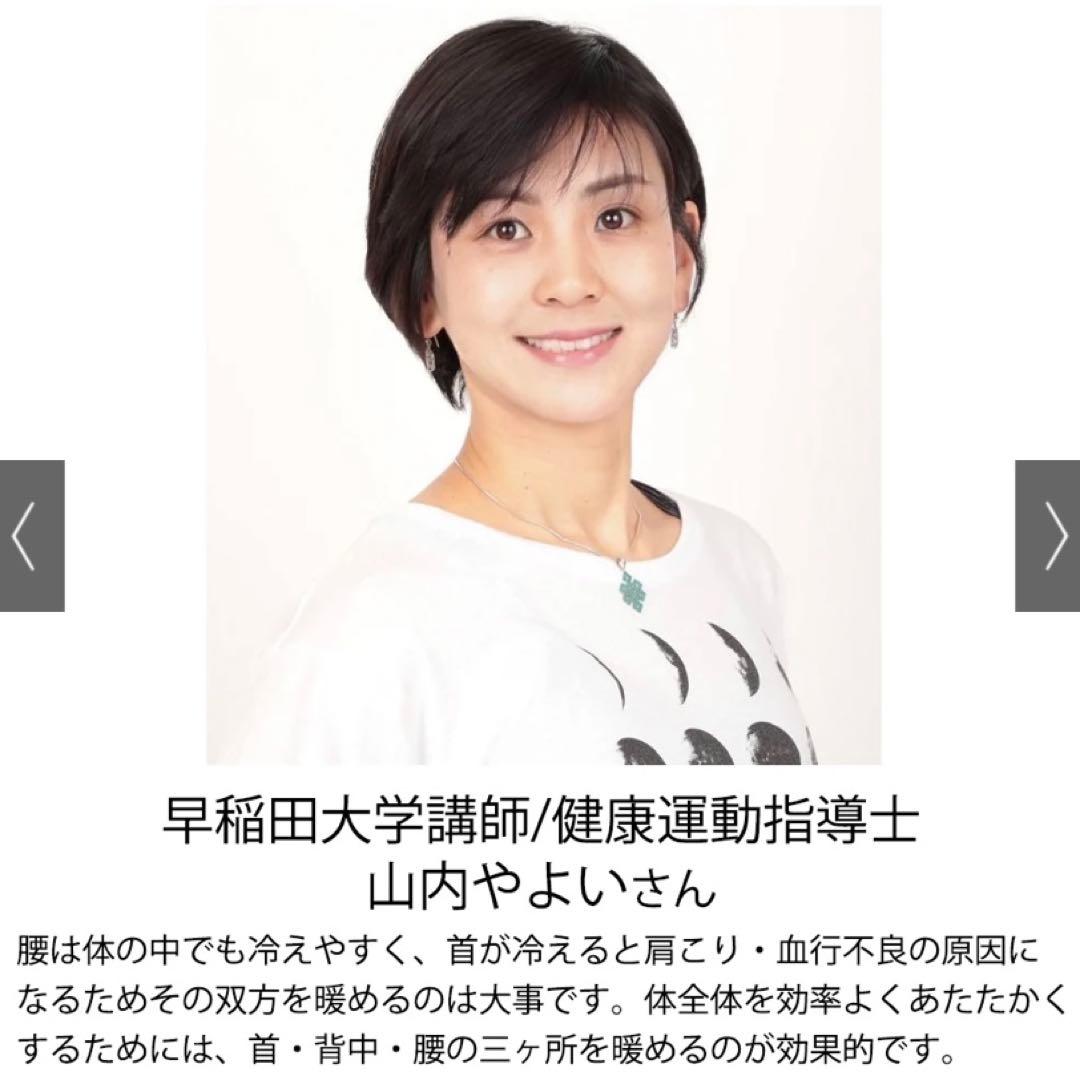 温熱ダウンベスト スピードウォーム（バッテリー付き） レディース用　MーL