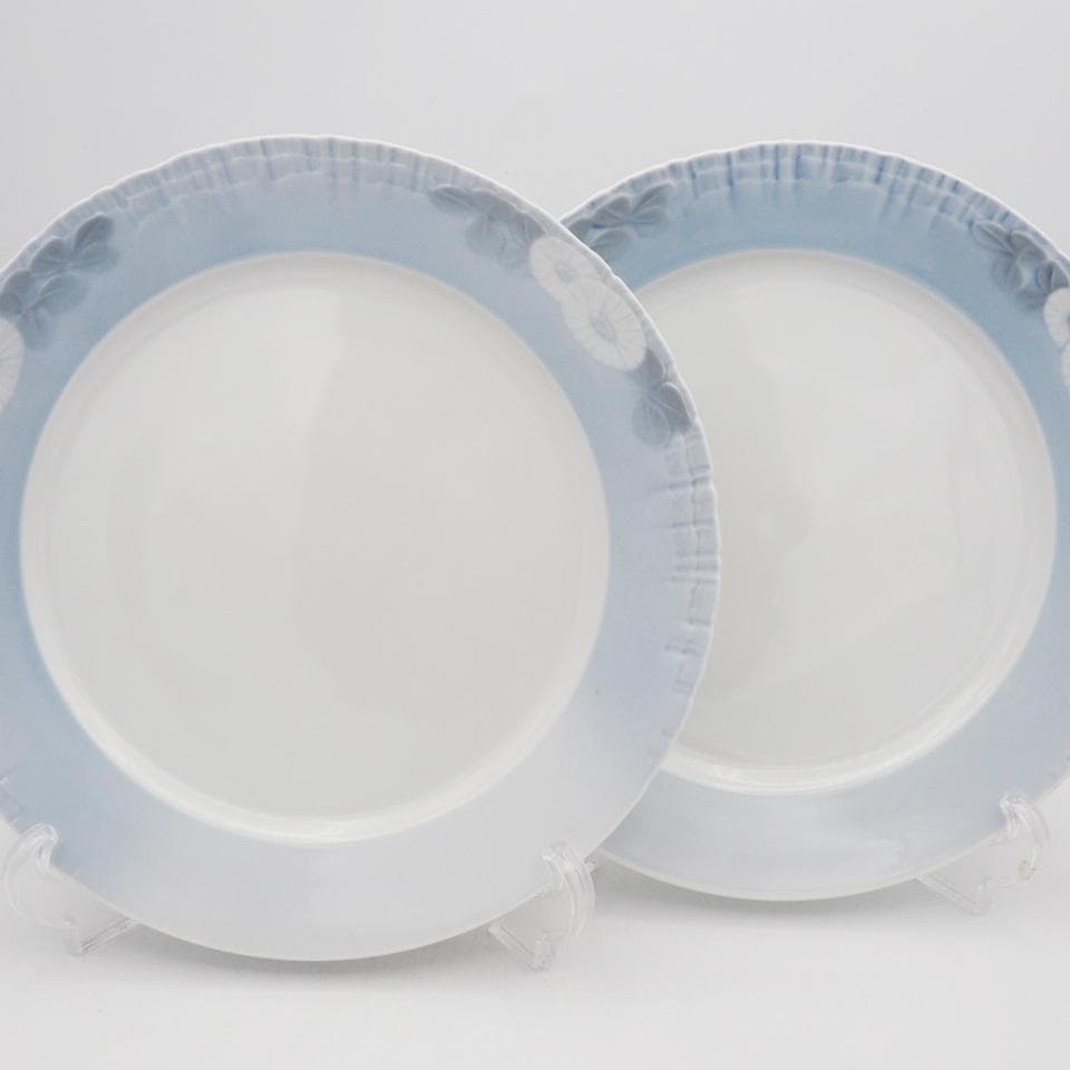 ロイヤルコペンハーゲン ミッドサマーナイトドリーム 25cmプレート ペア #2