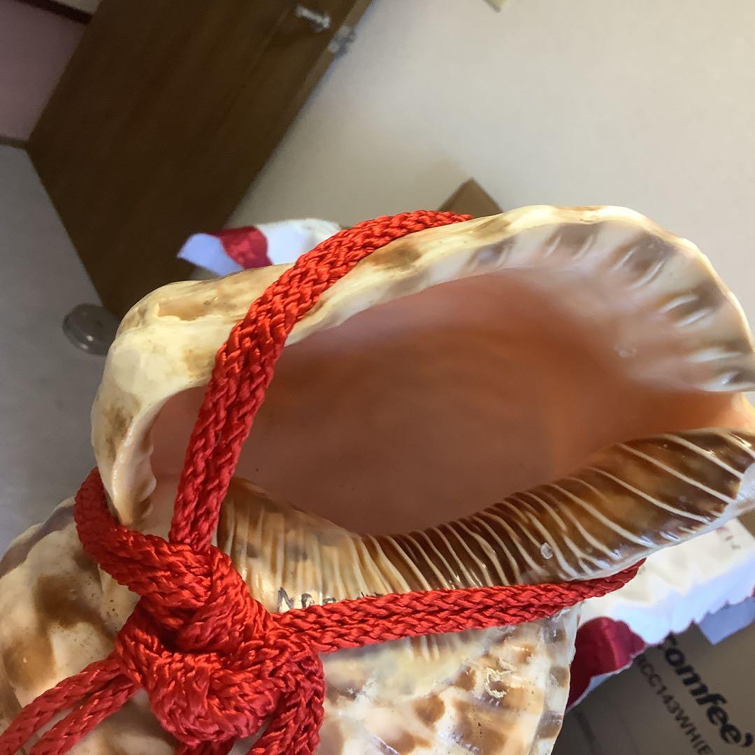 法螺貝①買特品