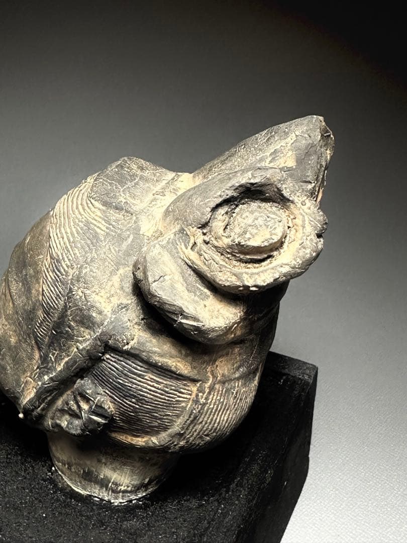 中国　古代　美術品　武官文官　俑　発掘品　頭部