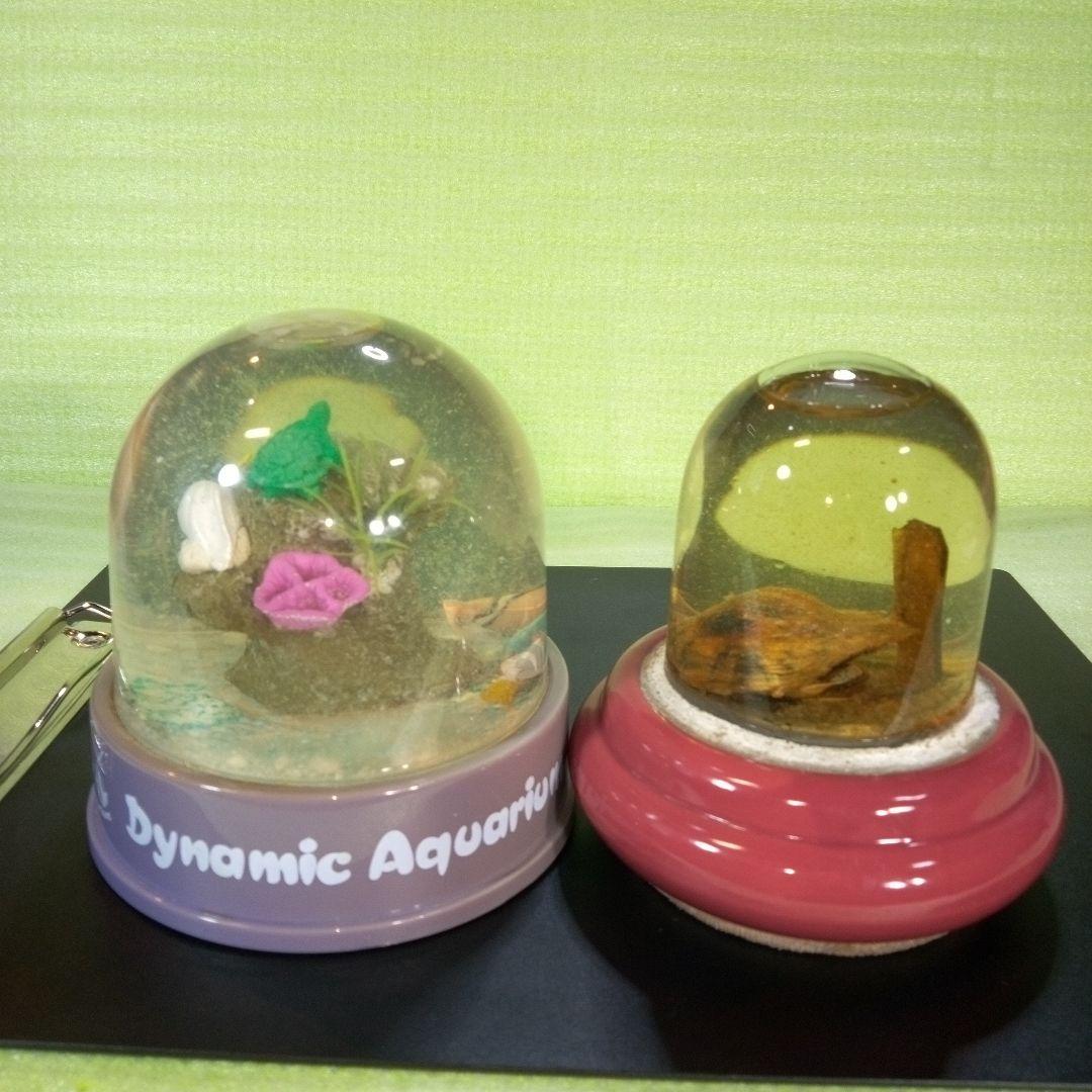 ①Dynamic Aquarium　②真珠貝　ガラスドーム　①②セット　おまとめ