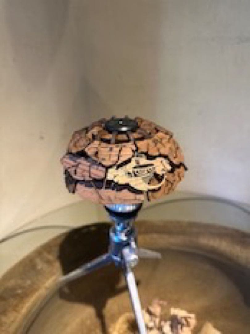 SAL BOCKLY 2.0 さるぼっくりー 新品未開封