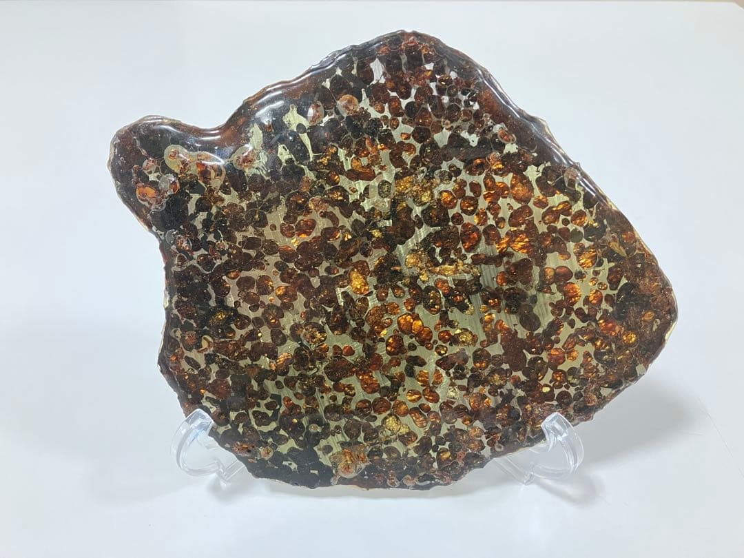 セリコ 隕石プレート 鑑別書付き 230.72g