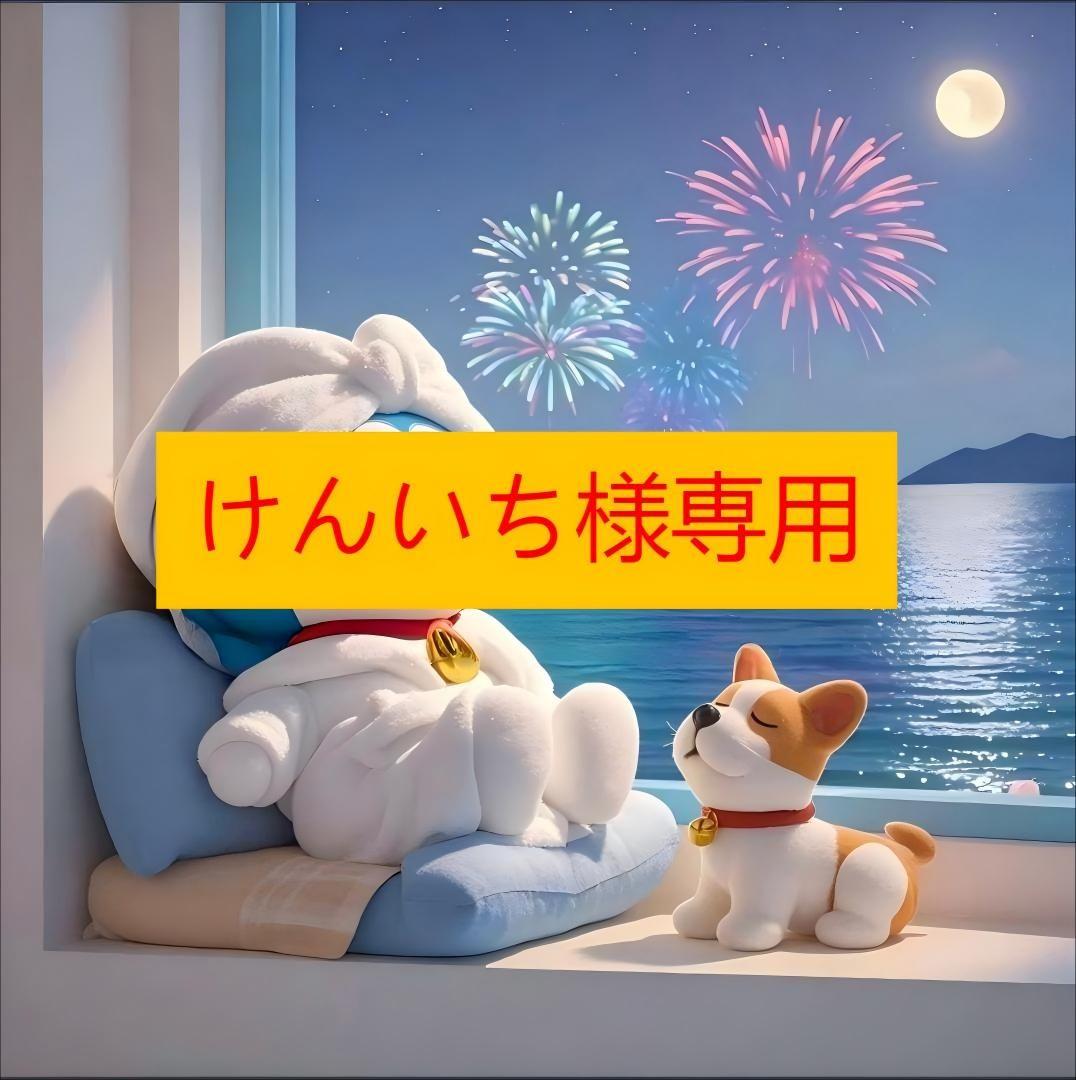 けんいち様 サイズ：L