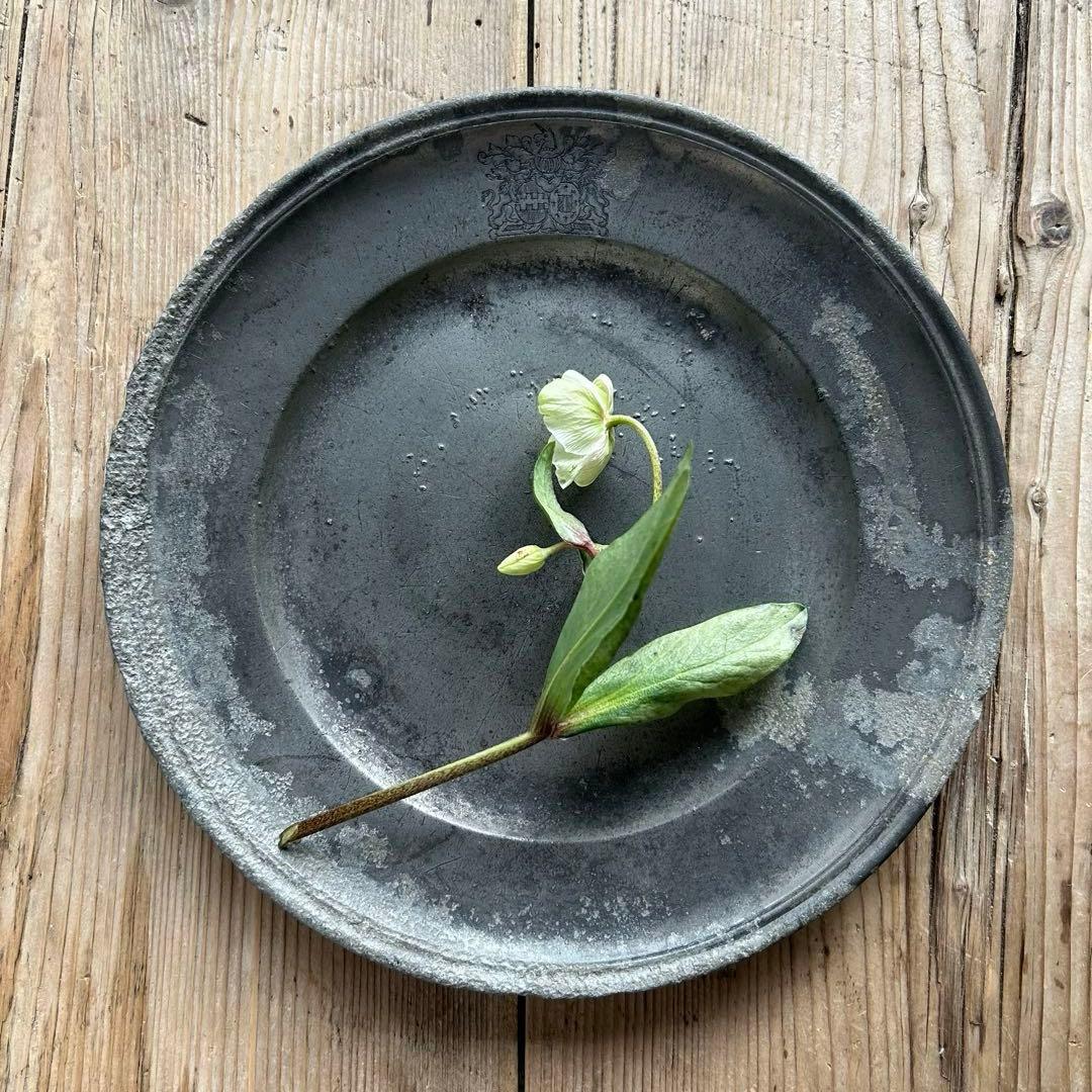 美しく朽ちた　エタン　ピュータープレート　フランスアンティーク　石化