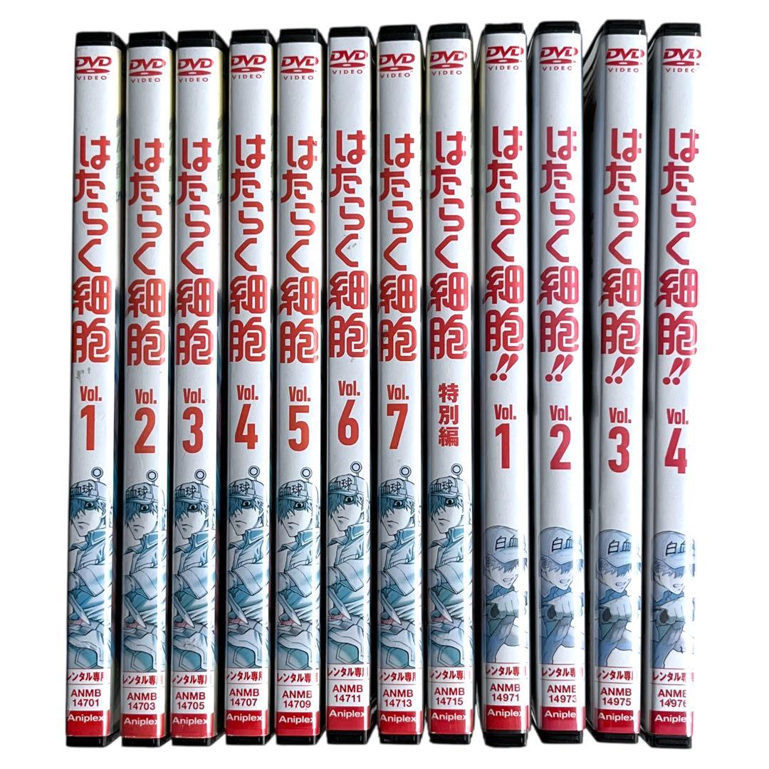 新品ケースDVD 「 はたらく細胞 」 1期・特別編・2期 全12巻 豪華セット