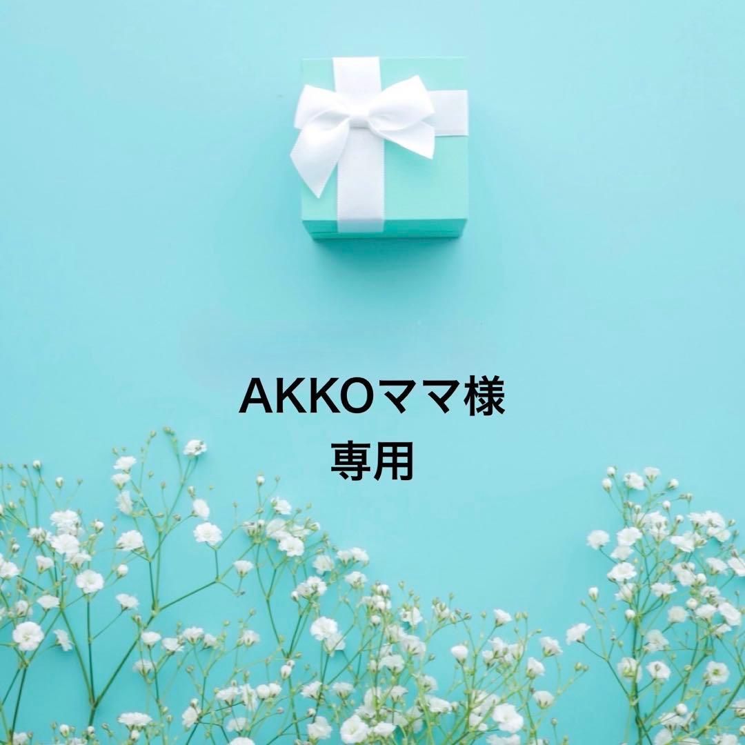 スキー３点セット ジュニア 美品 130センチ サロモン ブーツセット