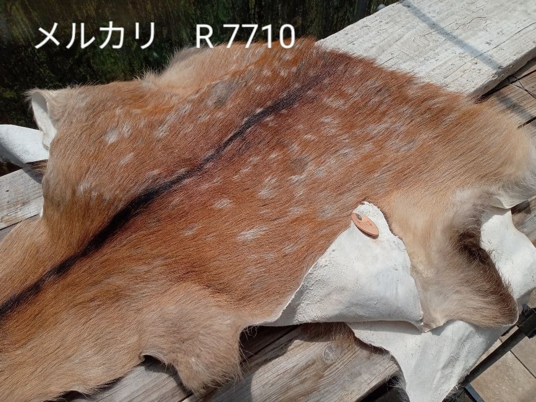 天然日本鹿の夏毛　ラグ
