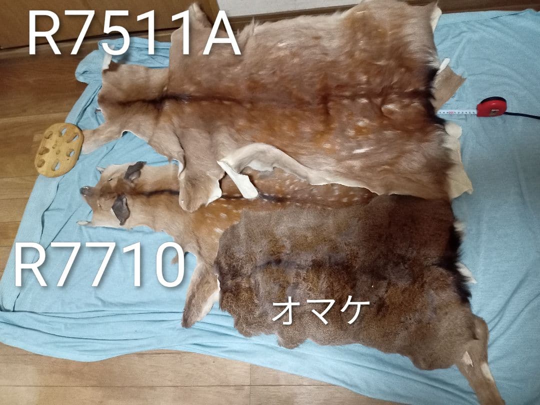 天然日本鹿の夏毛　ラグ