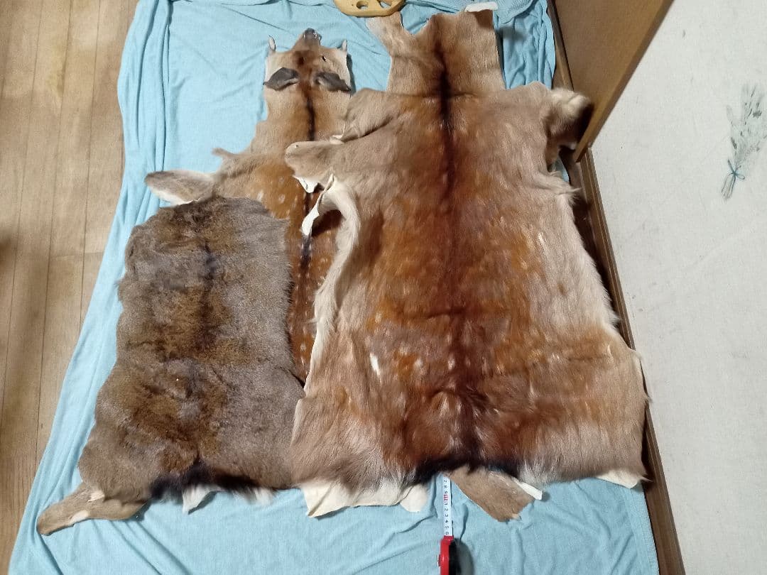 天然日本鹿の夏毛　ラグ